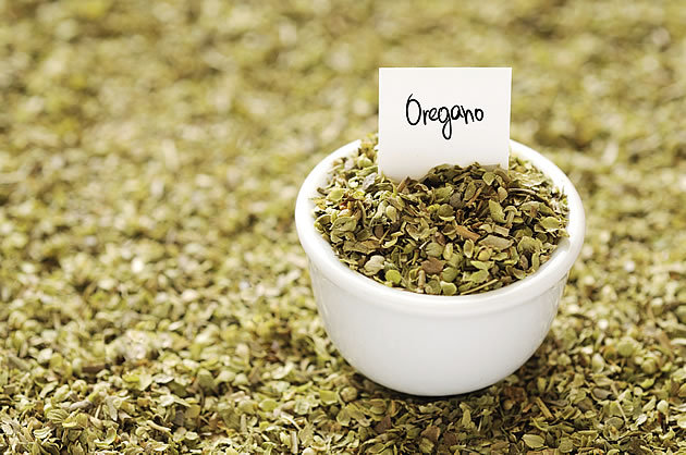 oregano