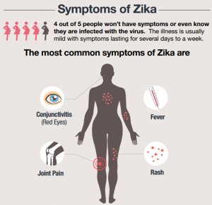 Zika Virus Syptoms